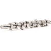 RIDEX Nockenwelle Stahl 566C0002 VW,AUDI,FORD,Golf IV Schrägheck (1J1),Golf V Schrägheck (1K1),POLO (9N_),TOURAN (1T1, 1T2) RIDEX Nockenwelle Stahl 566C0002 VW,AUDI,FORD,Golf IV Schrägheck (1J1),Golf V Schrägheck (1K1),POLO (9N_),TOURAN (1T1, 1T2) von RIDEX