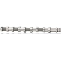 RIDEX Nockenwelle 566C0050  FORD,PEUGEOT,CITROËN,Fiesta Mk6 Schrägheck (JA8, JR8),Fiesta Mk5 Schrägheck (JH1, JD1, JH3, JD3),FUSION (JU_) von RIDEX