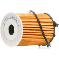 RIDEX Ölfilter Filtereinsatz 7O0357 Motorölfilter,Filter für Öl FIAT,ALFA ROMEO,CHRYSLER,500 (312),500 C (312),Panda Schrägheck (312_, 319_) von RIDEX