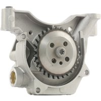 RIDEX Ölpumpe 596O0056 Motorölpumpe VW,AUDI,SKODA,Golf V Schrägheck (1K1),TOURAN (1T1, 1T2),GOLF VI (5K1),Polo Schrägheck (6R1, 6C1) von RIDEX