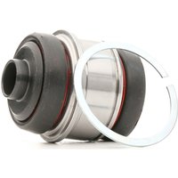 RIDEX Querlenkerlager Hinterachse 251T0020 Querlenkerbuchse,Querlenkergummi BMW,ALPINA,3 Touring (E91),5 Limousine (E60),5 Touring (E61) RIDEX Querlenkerlager Hinterachse 251T0020 Querlenkerbuchse,Querlenkergummi BMW,ALPINA,3 Touring (E91),5 Limousine (E60),5 Touring (E61) von RIDEX