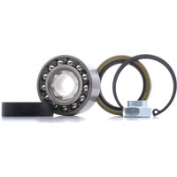RIDEX Radlagersatz rechts 654W0900 Radlager,Radlager & Radlagersatz RENAULT,PEUGEOT,CITROËN,14 (121_),104,204,104 Coupe,204 Break,C15 (VD-_) von RIDEX