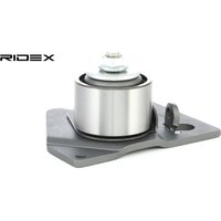 RIDEX Spannrolle, Zahnriemen mit Halter 308T0092  RENAULT,NISSAN,SUZUKI,SCÉNIC II (JM0/1_),MEGANE II Coupé-Cabriolet (EM0/1_),MEGANE II Kombi (KM0/1_) von RIDEX