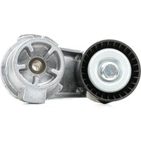 RIDEX Spannrolle 310T0377 Spannrolle, Keilrippenriemen BMW,ALPINA,5 Touring (F11),5 Limousine (F10),1 Schrägheck (F20),3 Touring (F31) von RIDEX