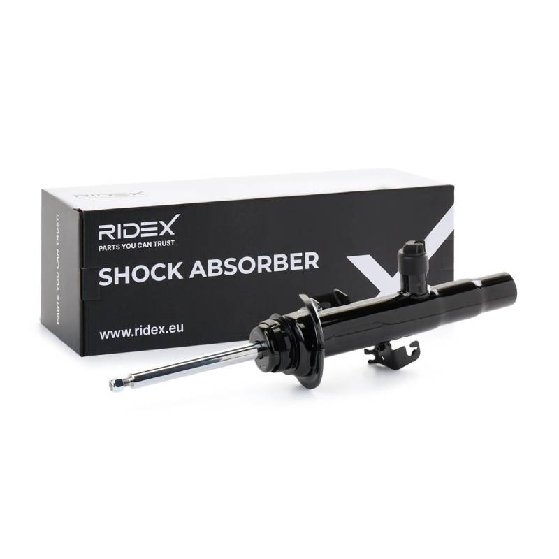 RIDEX Stoßdämpfer BMW,ALPINA 854S18456 37106850251,37106865565,37116793865 Federbein,Stossdämpfer 6865539,6865565,37106866515,6850251,37116864751 von RIDEX