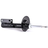 RIDEX Stoßdämpfer Vorderachse links 854S0289 Federbein,Stossdämpfer BMW,X5 (E53) von RIDEX