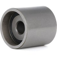 RIDEX Umlenk-/Führungsrolle, Zahnriemen 313D0005  VW,AUDI,FORD,GOLF III (1H1),Lupo (6X1, 6E1),Golf III Cabrio (1E7),SHARAN (7M8, 7M9, 7M6) von RIDEX