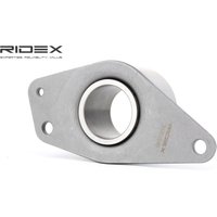 RIDEX Umlenk-/Führungsrolle, Zahnriemen 313D0045  RENAULT,VOLVO,KANGOO (KC0/1_),Scénic I (JA0/1_, FA0_),KANGOO Express (FC0/1_),MEGANE Scenic (JA0/1_) von RIDEX