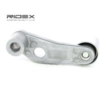 RIDEX Umlenk-/Führungsrolle, Zahnriemen 313D0049  VW,AUDI,SKODA,Golf IV Schrägheck (1J1),Golf V Schrägheck (1K1),POLO (9N_),GOLF VI (5K1) von RIDEX