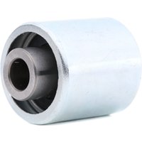 RIDEX Umlenk-/Führungsrolle, Zahnriemen 313D0069  VW,AUDI,SKODA,Golf V Schrägheck (1K1),TOURAN (1T1, 1T2),GOLF VI (5K1),Polo Schrägheck (6R1, 6C1) von RIDEX
