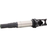 RIDEX Zündspule 689C0343 Einzelzündspule BMW,PEUGEOT,CITROËN,3 Touring (E91),3 Limousine (E90),3 Limousine (E46),5 Touring (F11),5 Limousine (E60) von RIDEX