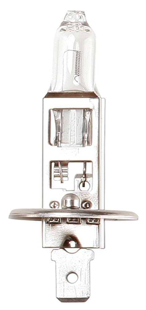 Ring ru466 H1 Halogen-Kopf Lampe, 24 V von Ring