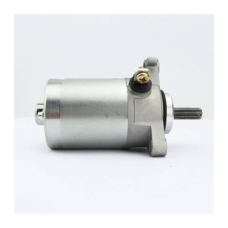 Anlasser Starter Für Y&amaha LTS125-C Für Delight 2017 2018 OEM Anzahl 54P-H1890-02 2SB-H1800-11 Starter Motor von RINKTEEA