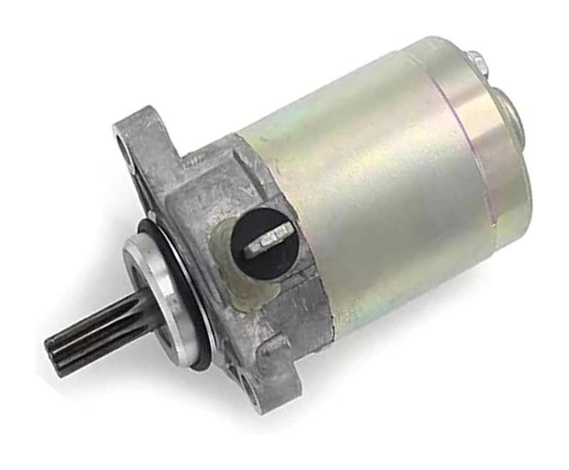 Anlasser Starter Für Y&amaha LTS125 Für Delight 2017 BW5-H1890-00 Motorrad Motor Starter von RINKTEEA