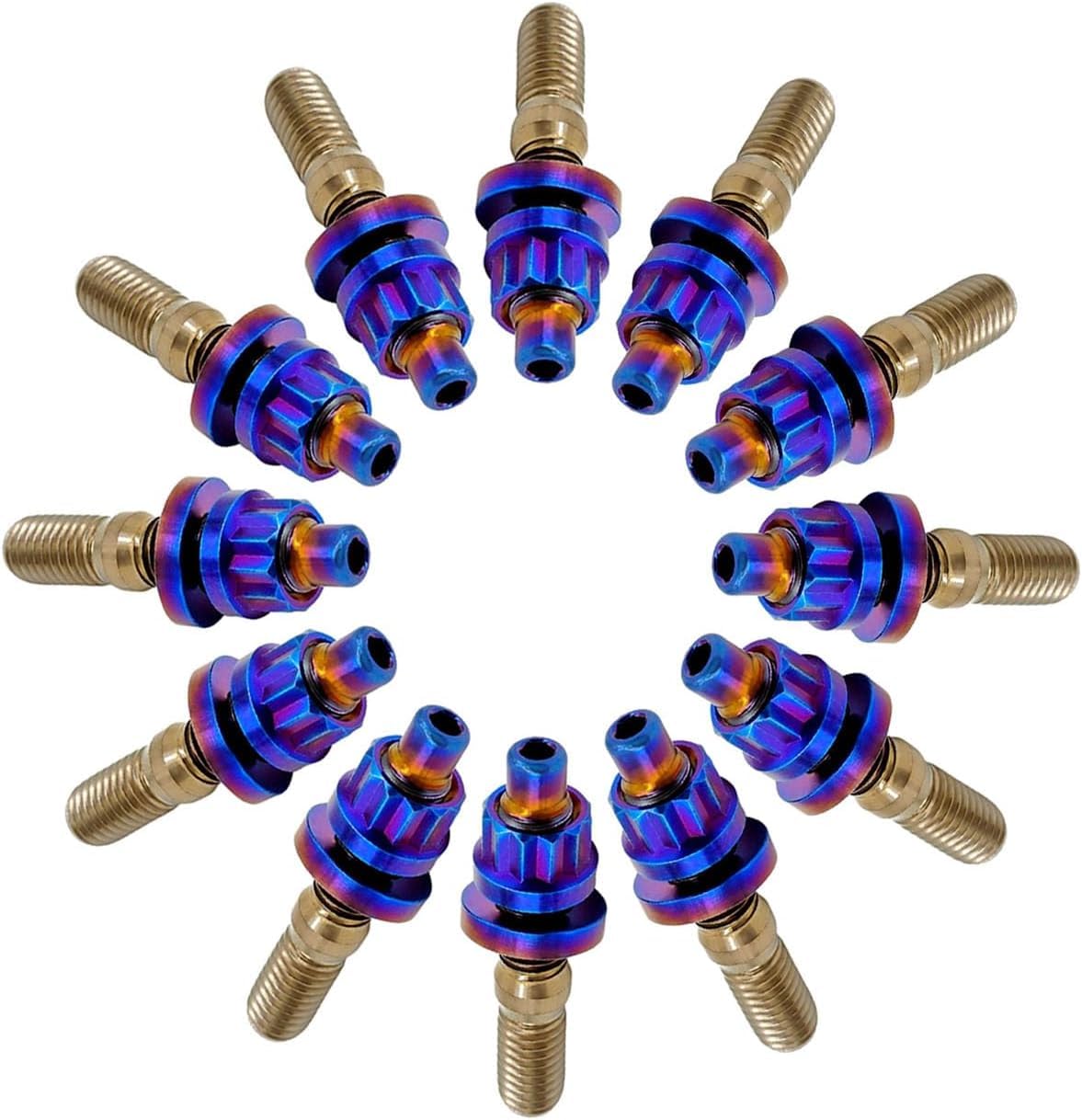 RISON-Titanium 12 Set Titan Stehbolzen für Auspuffkrümmer M8 M10, Auspuffkrümmerbolzen Mutter Kit, Auspuffkrümmer-Flanschmuttern Stiftschrauben Abgaskrümmer für Auspuffanlagen PKW Motoren Geeignet von RISON-Titanium