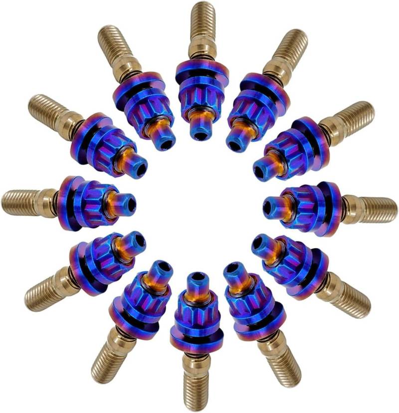 RISON-Titanium 12 Set Titan Stehbolzen für Auspuffkrümmer M8 M10, Auspuffkrümmerbolzen Mutter Kit, Auspuffkrümmer-Flanschmuttern Stiftschrauben Abgaskrümmer für Auspuffanlagen PKW Motoren Geeignet von RISON-Titanium