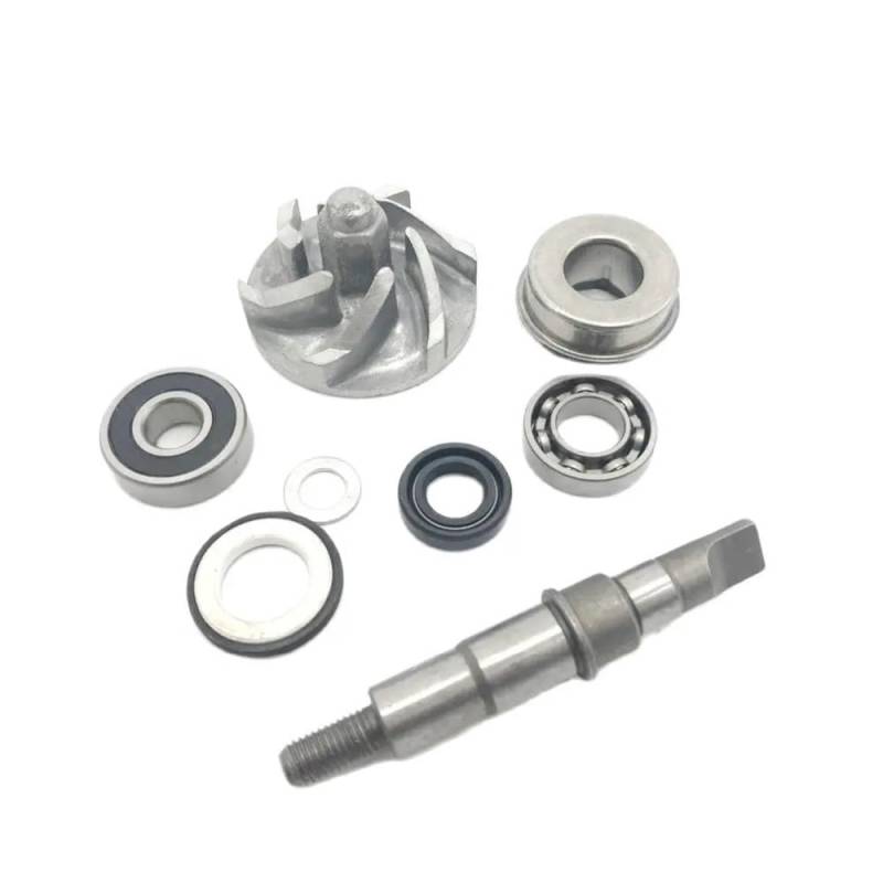 200CC ATV Quad Wasserpumpe Assy ATV Ersatzteile von RJhXzK