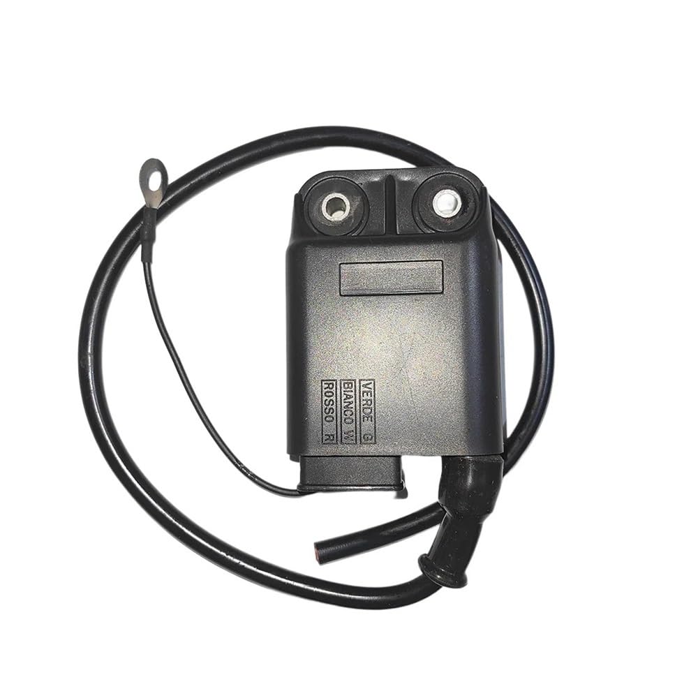 CDI-Einheit inklusive Zündspule Passend for Zip 50 Stalker TPH CDI-Einheit inklusive Zündspule Passend for Zip 50 Stalker TPH von RJhXzK