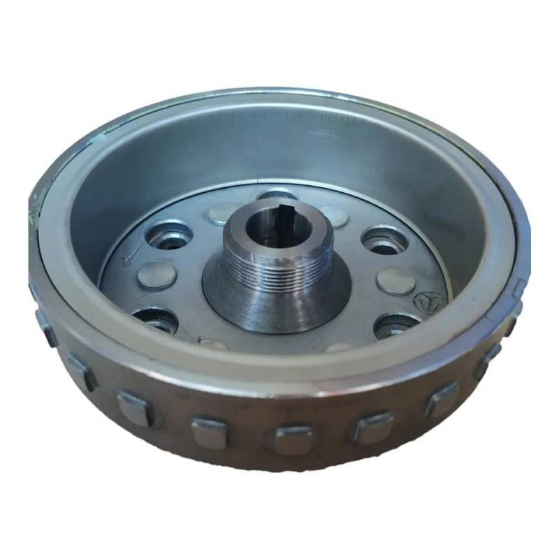 HS700 ATV EFI Schwungrad Stator Magneto Rotor Lichtmaschine Generator 31100-93900-0000 von RJhXzK