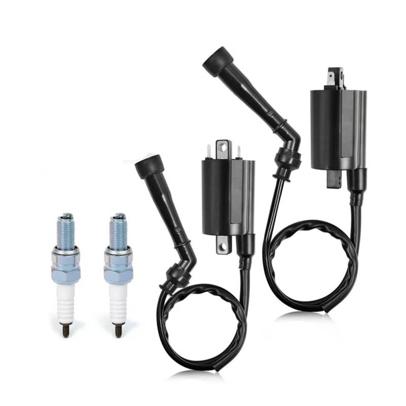Zündspule Pack L & R Zündkerzenstecker Fit for S-zuki Intruder 800 750 VS800 VS800GL VS750 VS750GLP 1988-2004 33420/33410-38A11 von RJhXzK