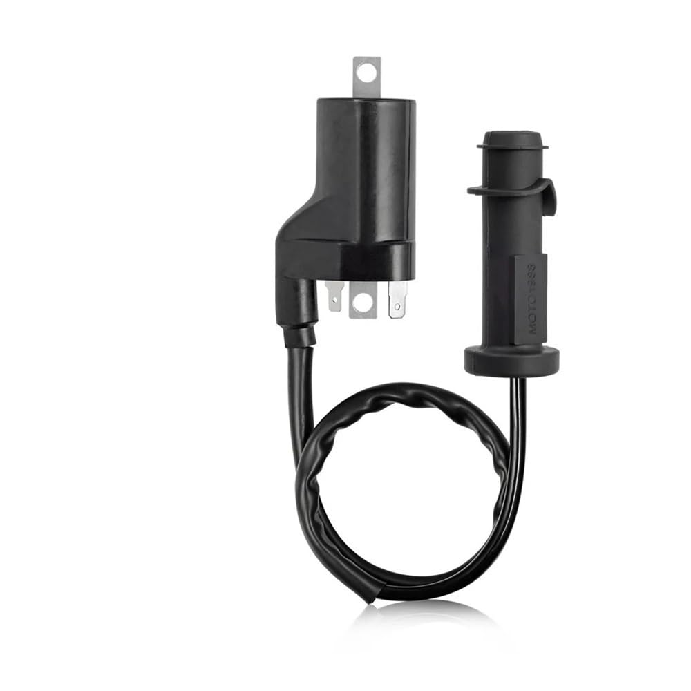 Zündspule Pack ZÜNDKERZENSTECKER Passend for A-ctic 550 700 1000 09-16 Prowler XT 550 11-14 XTX 700 08-12 Prowler XTZ 1000 09-14 von RJhXzK