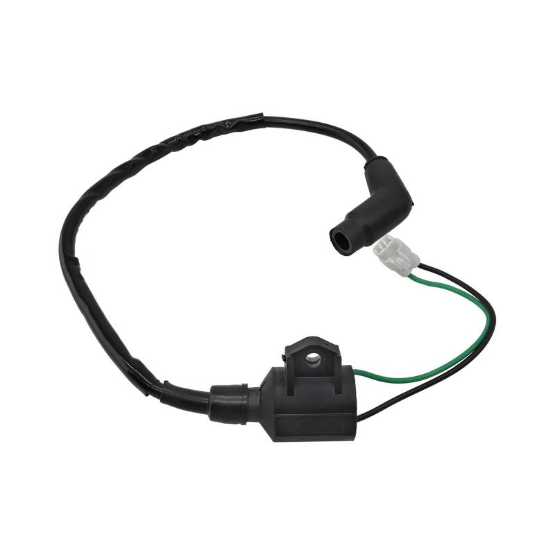 Zündspule for Hawkeye 2X4 4X4 2006 2007 2008-2011/3089860 3089910 von RJhXzK