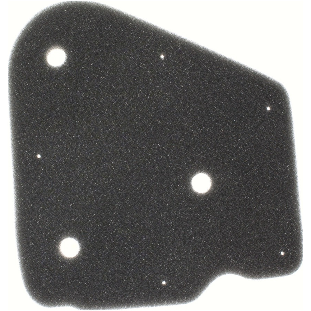 Luftfilter 100600030 Luftfilter 100600030 von RMS
