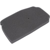 Luftfilter RMS 10 060 0170 Luftfilter RMS 10 060 0170 von Rms