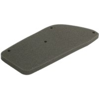 Luftfilter RMS 10 060 0200 Luftfilter RMS 10 060 0200 von Rms