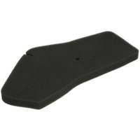 Luftfilter RMS 10 060 0231 Luftfilter RMS 10 060 0231 von Rms