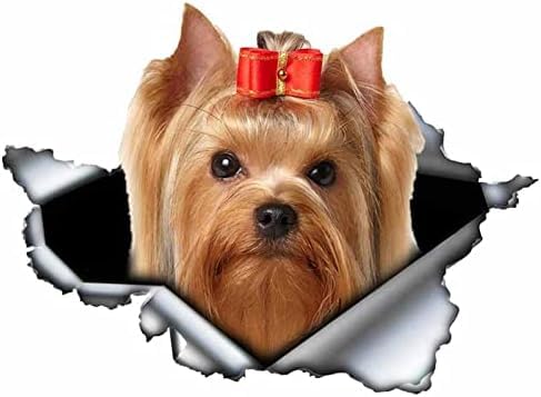 ROMOER 2PCS 3D -Aufkleber Hunde Vinyl Aufkleber Zerrissene Metall -Aufkleber -Autoaufkleber Fenster Stoßfänger Haustierhund, 13 cm*12 cm Laptop Koffer Accessoires Auto -Aufkleber ROMOER 2PCS 3D -Aufkleber Hunde Vinyl Aufkleber Zerrissene Metall -Aufkleber -Autoaufkleber Fenster Stoßfänger Haustierhund, 13 cm*12 cm Laptop Koffer Accessoires Auto -Aufkleber von ROMOER