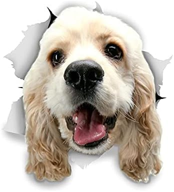 ROMOER 2PCS 3D Hundeaufkleber Autoaufkleber Weißer Hund Für Wandkühlschrank Toilettengepäck Skateboard -Laptop Lustige Auto -Auto -Stoßfänger Aufkleber 20 cm Autoaufkleber ROMOER 2PCS 3D Hundeaufkleber Autoaufkleber Weißer Hund Für Wandkühlschrank Toilettengepäck Skateboard -Laptop Lustige Auto -Auto -Stoßfänger Aufkleber 20 cm Autoaufkleber von ROMOER