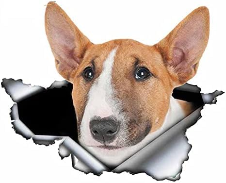 ROMOER 2pcs Hundauto Aufkleber 3D Zerrissene Metall Vinyl Stoßfänger Kofferraum Dekalenthunde Hunde Grafikauto Aufkleber Auto -Aufkleber -Dekorationsaufkleber ROMOER 2pcs Hundauto Aufkleber 3D Zerrissene Metall Vinyl Stoßfänger Kofferraum Dekalenthunde Hunde Grafikauto Aufkleber Auto -Aufkleber -Dekorationsaufkleber von ROMOER