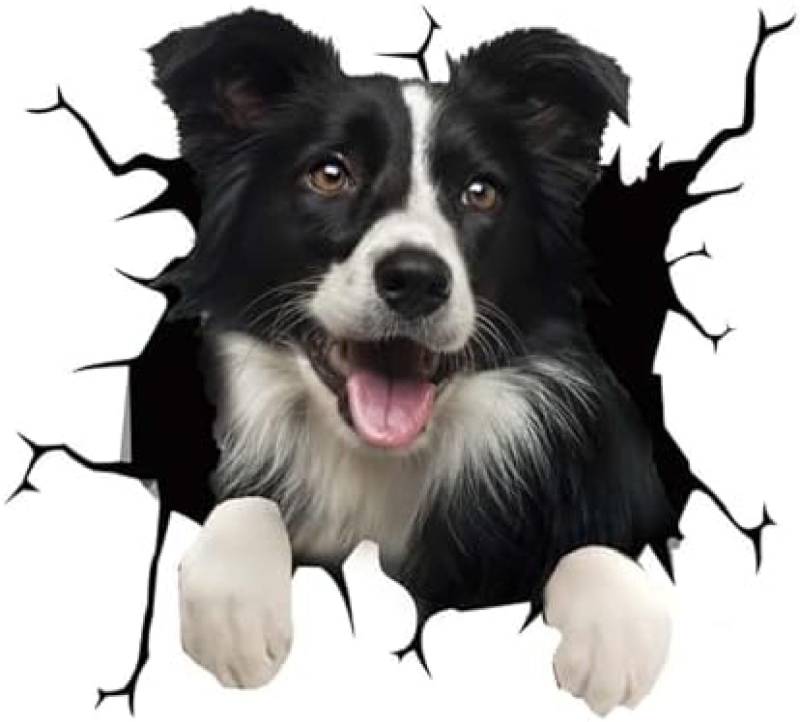 ROMOER 3D-Hunde-Auto-Dekorationsaufkleber, Lustiger Auto-Labrador-Aufkleber, Wasserdichter Haustier-Aufkleber Für Autos, Stoßstange, Fenster, Kühlschränke,Border-Collie von ROMOER