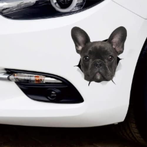 ROMOER Alanzhund 3D -Hundauto -Aufkleber Wasserdichtes Auto -Dekore An Stoßfänger Heckscheibe ROMOER Alanzhund 3D -Hundauto -Aufkleber Wasserdichtes Auto -Dekore An Stoßfänger Heckscheibe von ROMOER
