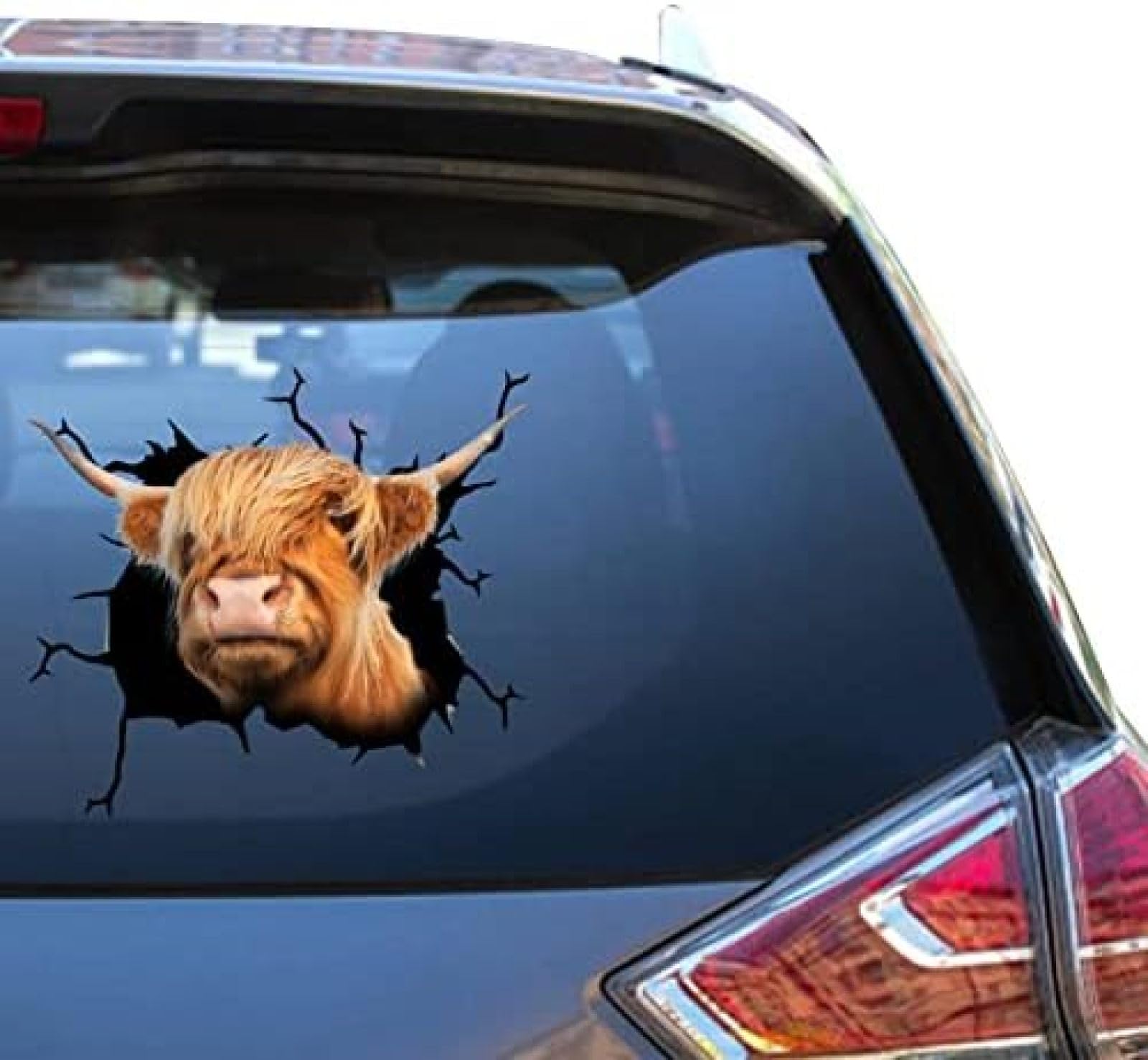 ROMOER Hochlandrinder-Kuh-Aufkleber, Kuhfarm-Aufkleber, Lustige Witze, Sauberer Fensteraufkleber Für Herren, Lustige Memes, Kleine LKW-Aufkleber ROMOER Hochlandrinder-Kuh-Aufkleber, Kuhfarm-Aufkleber, Lustige Witze, Sauberer Fensteraufkleber Für Herren, Lustige Memes, Kleine LKW-Aufkleber von ROMOER