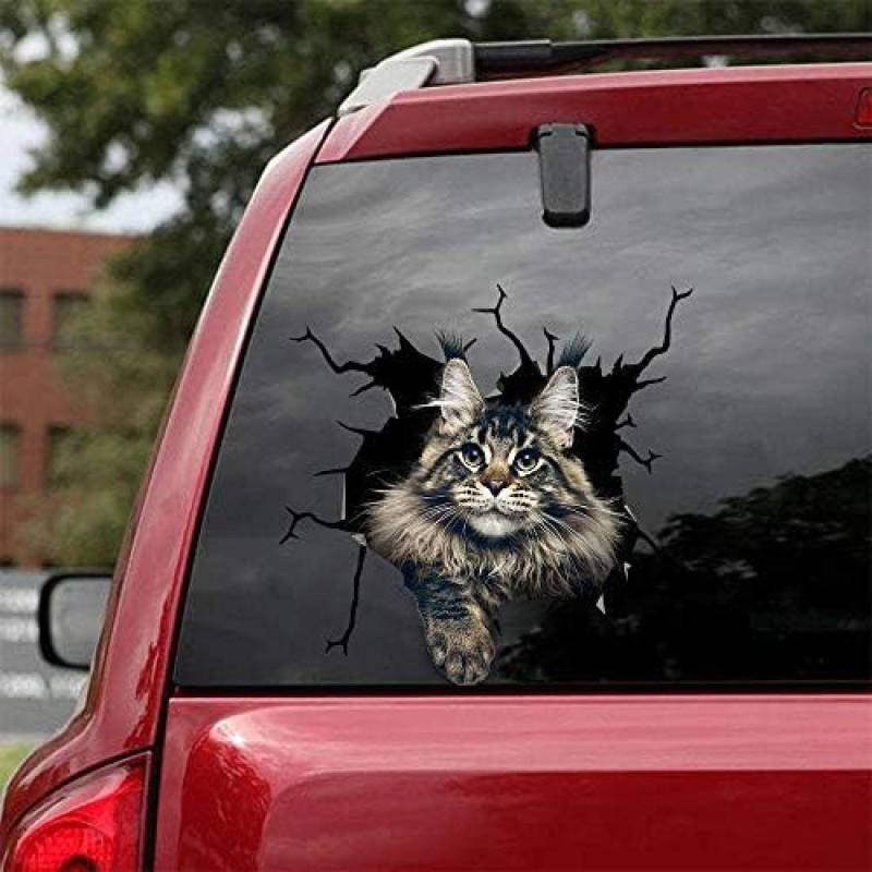 ROMOER Maine Coon Autoaufkleber, Katzen-Autoaufkleber, 2 Stück – Aufkleber Für Autofenster, Wände, Serie 2, Größe 25,4 X 25,4 cm von ROMOER