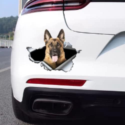ROMOER Selbstklebende 3D-Aufkleber-Hundewagen Aufkleber Wasserdichtes Auto-Dekore Auf Stoßfänger Heckscheiben-Wagenkoffer ROMOER Selbstklebende 3D-Aufkleber-Hundewagen Aufkleber Wasserdichtes Auto-Dekore Auf Stoßfänger Heckscheiben-Wagenkoffer von ROMOER