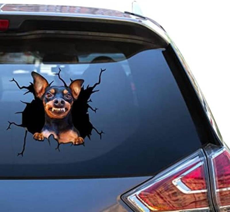 Zwergpinscher-Geschenke, Damen-Minipinscher-Aufkleber, Wasserfeste Autoaufkleber Für Landwirte, Coole Aufkleber Für Kleine Rennen von ROMOER