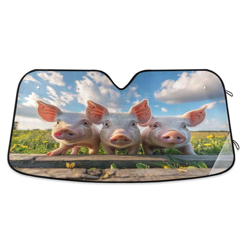 Auto Windschutzscheibe Schatten Lustige Schweine Faltbare Frontscheibenabdeckung Windschutzscheibe Sonnenblende - 53 × 23,5 Zoll von RPLIFE