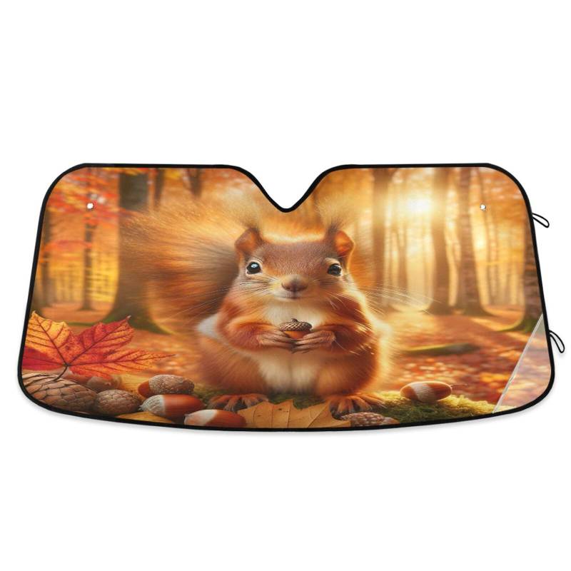 Auto-Windschutzscheiben-Schatten, niedliches Eichhörnchen, Herbstwald, faltbare Frontscheibenabdeckung, Sonnenabdeckung für Auto-Windschutzscheibe – 140 x 70 cm von RPLIFE