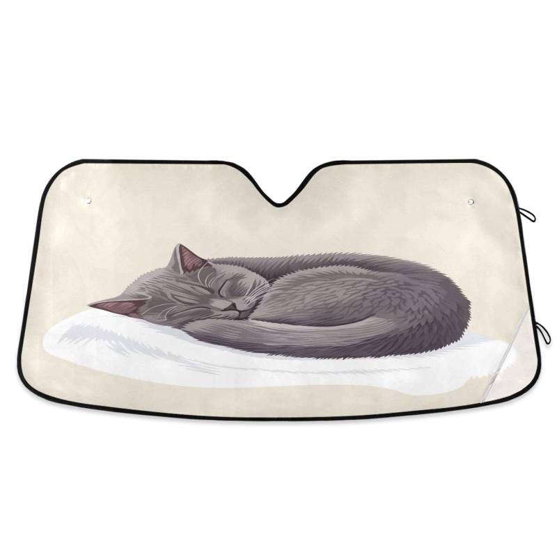Sonnenschutz für Auto-Windschutzscheibe, graue Katze, faltbare Auto-Windschutzscheiben-Isolierung, Frontscheibenabdeckung – 144 x 80 cm von RPLIFE