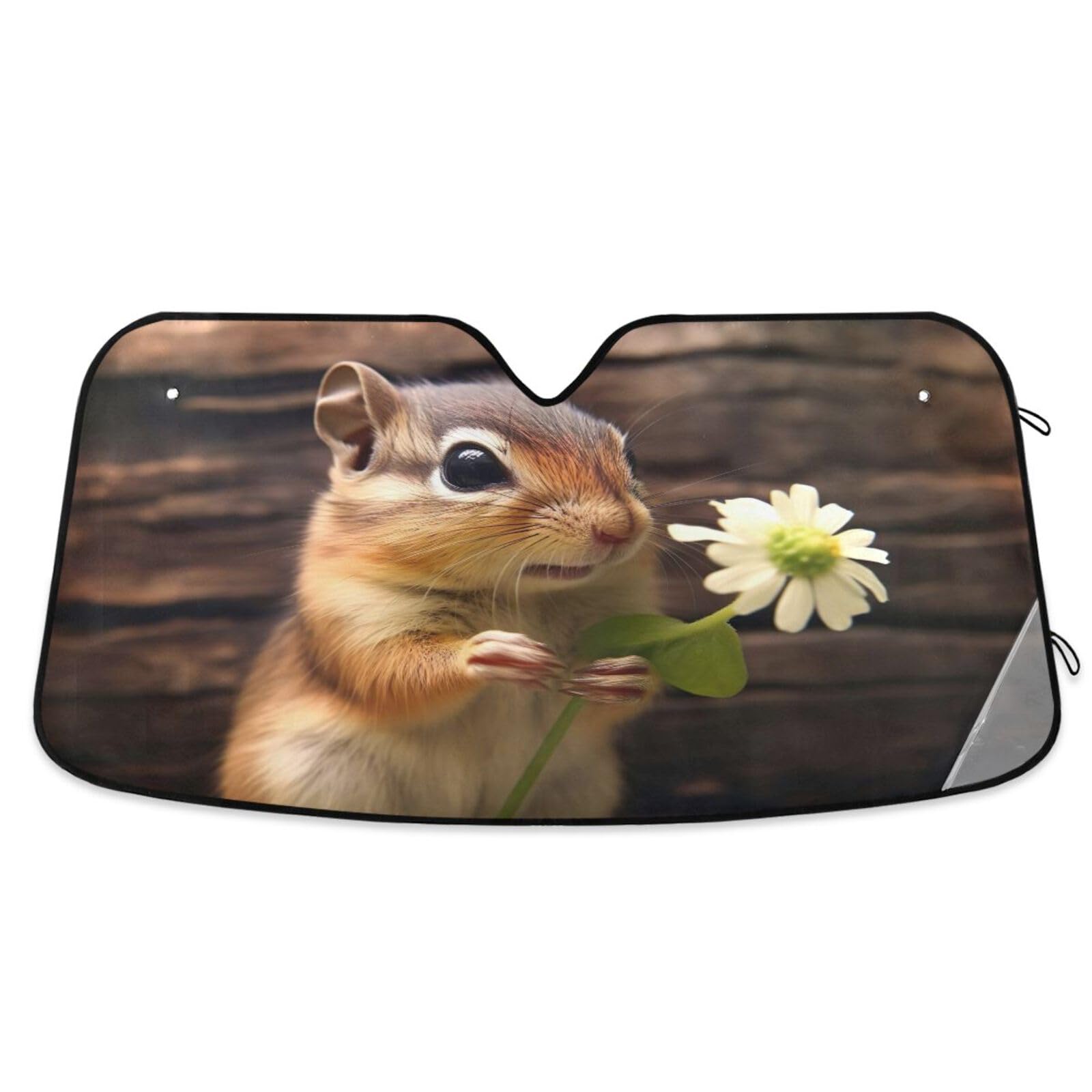 Windschutzscheiben-Sonnenschutz, Streifenhörnchen-Blume, faltbarer Auto-Windschutzscheiben-Hitzeschutz, Frontscheibenabdeckung – 140 x 70 cm Windschutzscheiben-Sonnenschutz, Streifenhörnchen-Blume, faltbarer Auto-Windschutzscheiben-Hitzeschutz, Frontscheibenabdeckung – 140 x 70 cm von RPLIFE