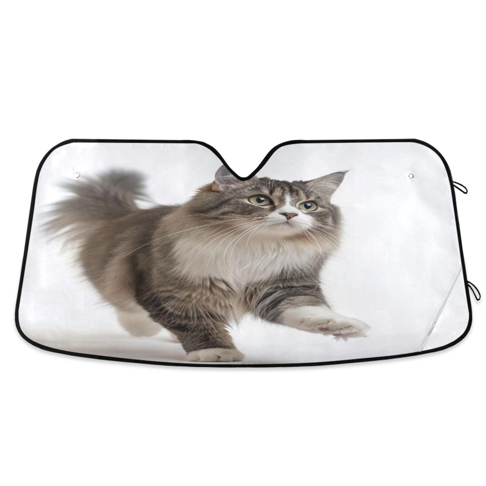 Windschutzscheiben-Sonnenschutz, niedliche Katze, Ragdoll, faltbare Frontscheibenabdeckung, Auto-Windschutzscheiben-Abdeckung, 140 x 70 cm Windschutzscheiben-Sonnenschutz, niedliche Katze, Ragdoll, faltbare Frontscheibenabdeckung, Auto-Windschutzscheiben-Abdeckung, 140 x 70 cm von RPLIFE