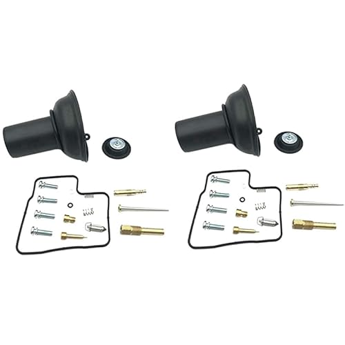 2-teiliges Vergaser-Reparaturset, kompatibel mit Honda Steed Shadow VT VLX 600 88-98, Ersatzteil 2-teiliges Vergaser-Reparaturset, kompatibel mit Honda Steed Shadow VT VLX 600 88-98, Ersatzteil von RQEYUNP