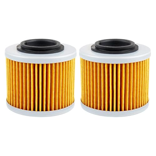 Motorrad-Ölfilter, kompatibel mit BMW F650 Funduro F650CS F650GS Darker F650ST G650 Xchallenge Xcountry G650X Sertao(2pcs) von RQEYUNP