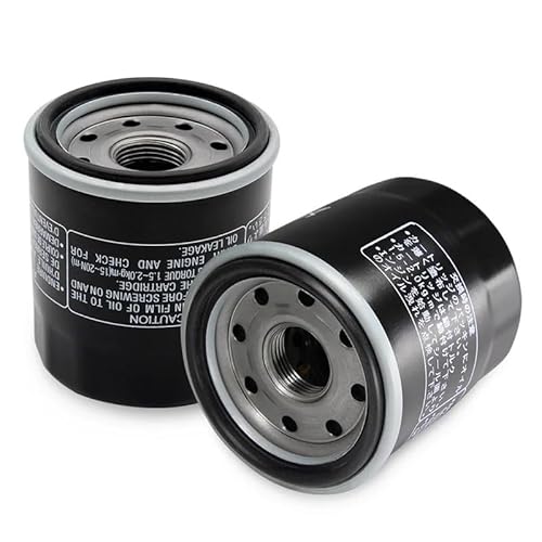 Motorrad-Ölfilter, kompatibel mit Honda GL1500 Goldwing CB1100SF X11 XL600V Transalp XL650V XRV650 Africa Twin XRV(2pcs) von RQEYUNP