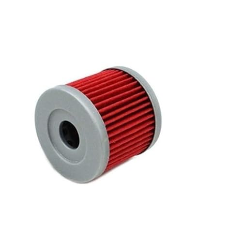 Ölfilter kompatibel mit Zongshen CBS250 ZS170MM-5 CBS300 ZS174MN-3 gekühltem 4-Ventil-Motor Dirt Bike ATV(1pc) von RQEYUNP