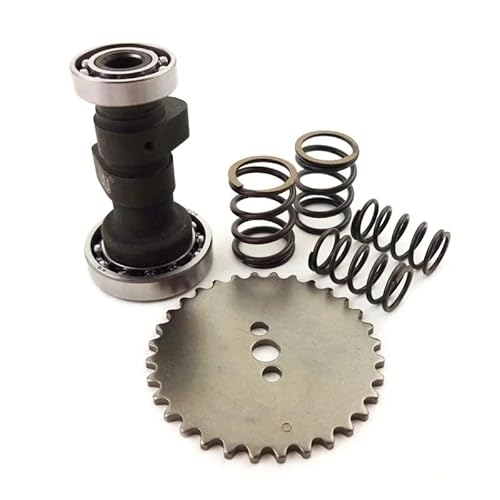 Z40 Racing Cam Nockenwelle Kit for Chinesische YX140 YX 140cc 1P56FMJ Motor Pit Dirt Bike ATV Quad Buggy Go Kart Motorrad Z40 Racing Cam Nockenwelle Kit for Chinesische YX140 YX 140cc 1P56FMJ Motor Pit Dirt Bike ATV Quad Buggy Go Kart Motorrad von RQEYUNP