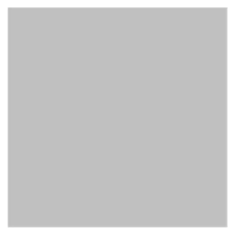 Spoiler Für Crown 2015-2018 Spoiler Hinten Stamm Deckel Spoiler Flügel Auto Spoiler Flügel Lip(Silver) von RWRPQEDEXM